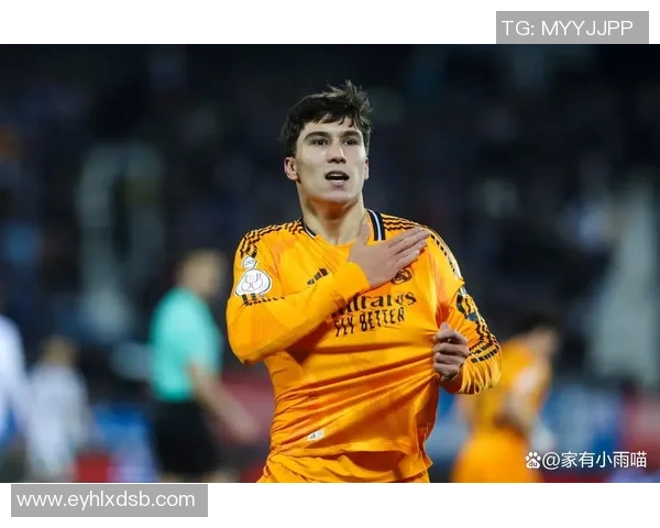 罗德里：从青训新星到世界级中场的华丽蜕变与未来展望