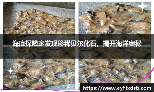 海底探险家发现珍稀贝尔化石，揭开海洋奥秘